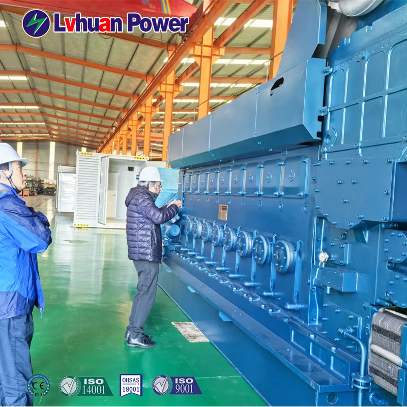 1MW Biomass Gasification Power Plant with Electric Start Water Cooling 220V/380V Output-DC Wood Gas/Rice Husk Gas Generator