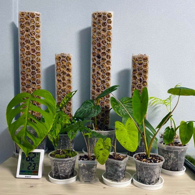 Новая идея для тех, кто увлекается 2022 пластмассы мох полюс стекируемые вьющееся растение опоры для комнатных растений криперы мох палочки