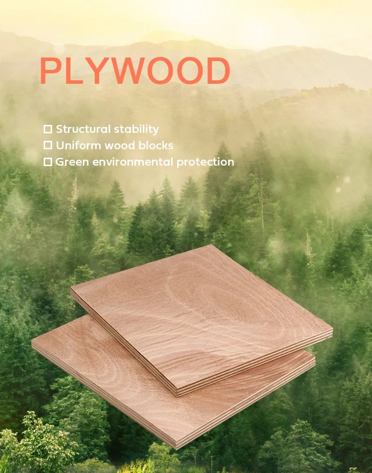 9mm/12mm/18mm Raw Eucalyptus Plywood 4x8 Plywood Cheap Laminated ...