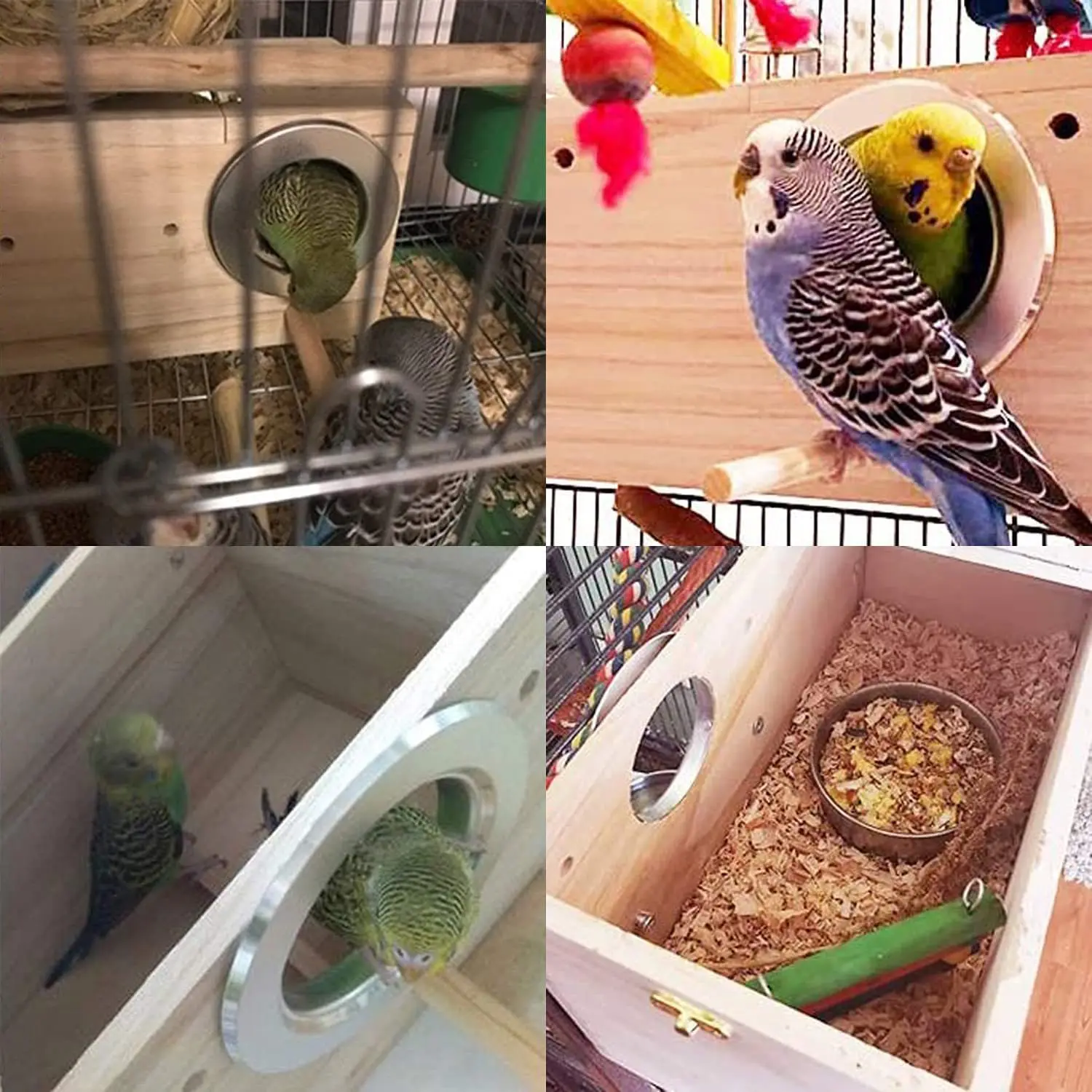 Wooden Parrot Minimalist Living Quarters Breeding Cages For Birds Small ... - Tiny Living Bird Enclosures For Macaws