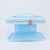 Ice Blue