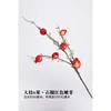 Large branches, six fruits, tender buds, pomegranate, red