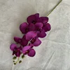 Morado oscuro