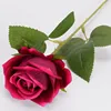 Rosa roja