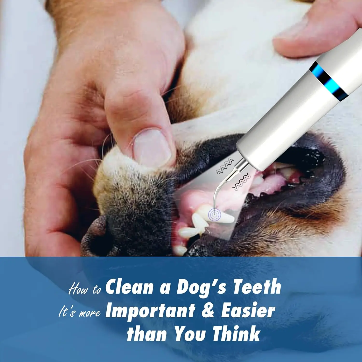 Professional Tartar Remover Ultrasonic Teeth Cleaning Device for Pets