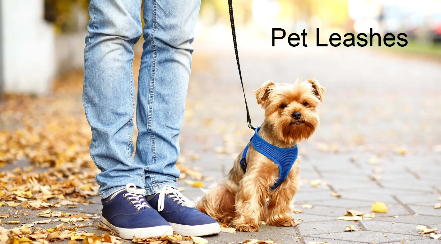 New Style Wholesale Led Retractable Pet Leashes Adjustable Dog Leash With Custom Logo factory