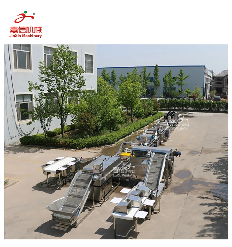 Automatic frozen fruit and vegetable production line Washing Drying Line Frozen Vegetable Washing Processing Line