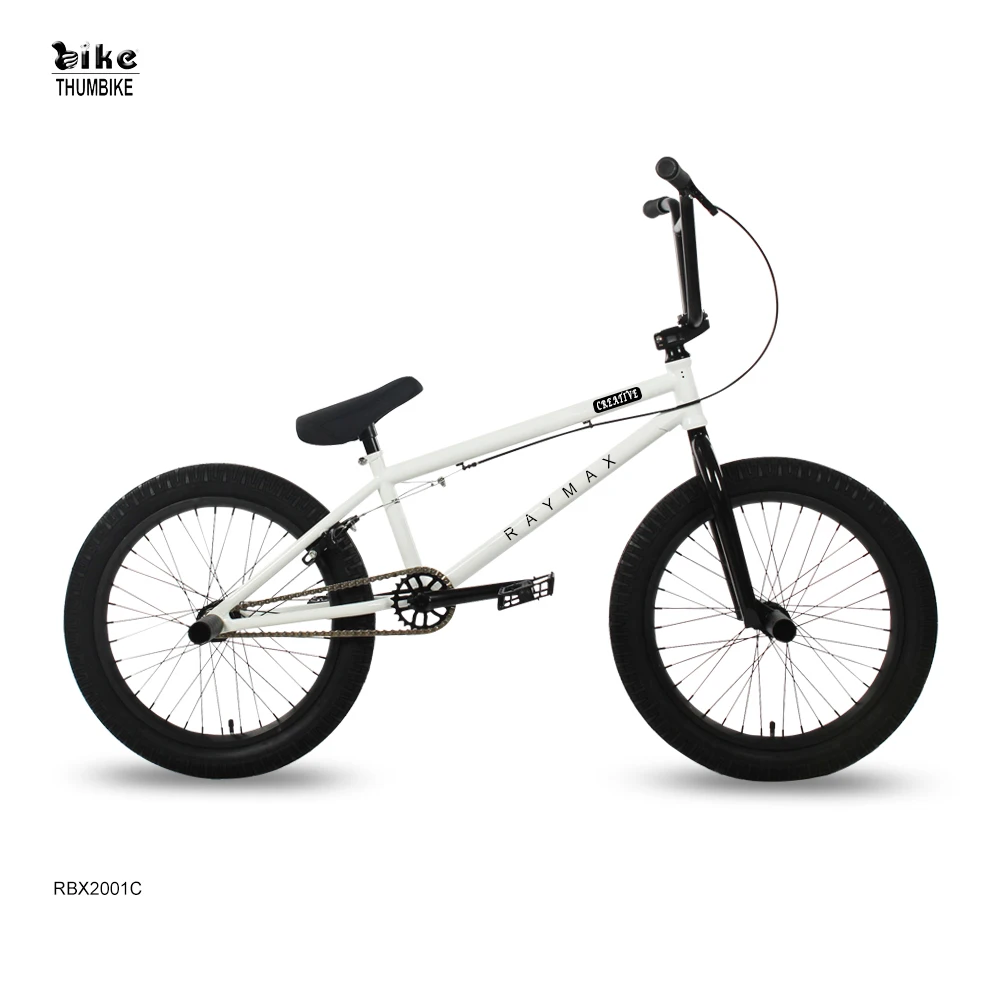 20 Inch Hi Ten Frame BMX Bike - Customized Dirt Jump Style