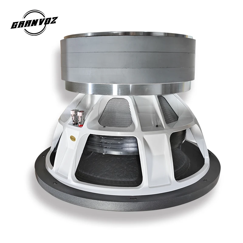 2024 GRANVOZ Car Subwoofer 5000 Watt RMS - Upgrade Your Audio