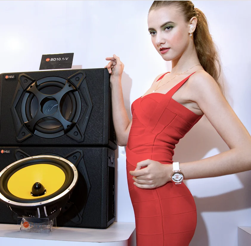 HiVi Hi-Fi  Car Audio System 200W Subwoofer Cars 10 Inch for Car Amplifier Speaker Parts