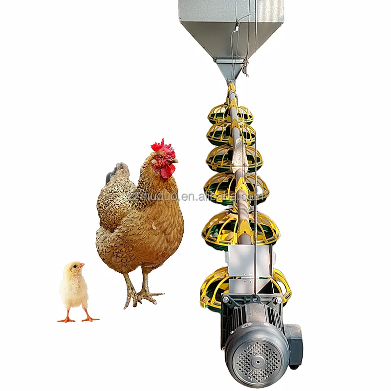 Automatic Chicken Poultry Farm Feeding Line Equipment Conveyor Chicken Food Feeding System