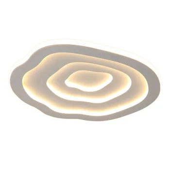 Zhongshan Factory Modern Creative Indoor Decorative Nordic Acrylic Minimalist Led Ceiling Lights for Bedroom