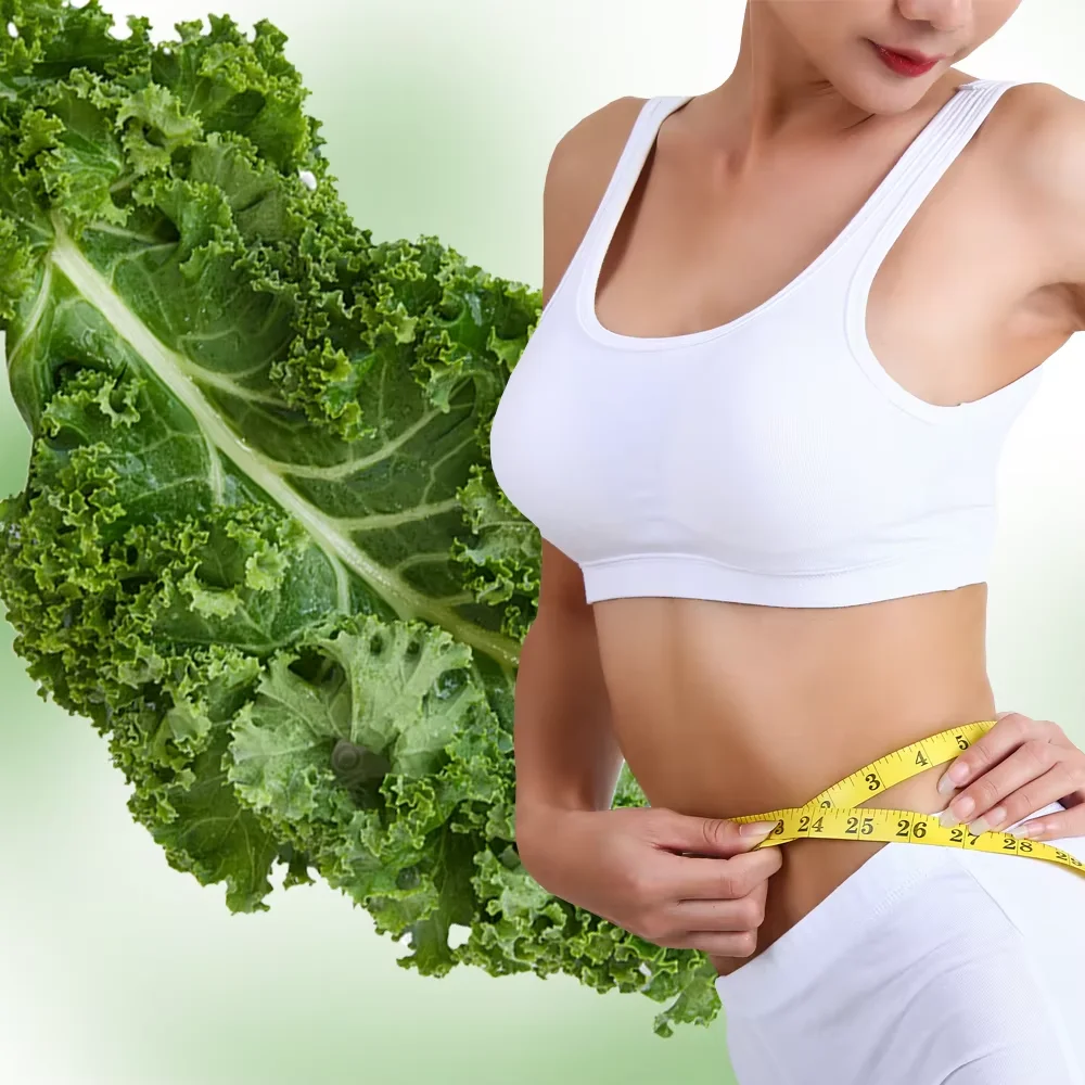 Kale Powder - Bulk Wholesale from China Factory H23a1f1e65f9c43268eb61c8cd41b7ca41