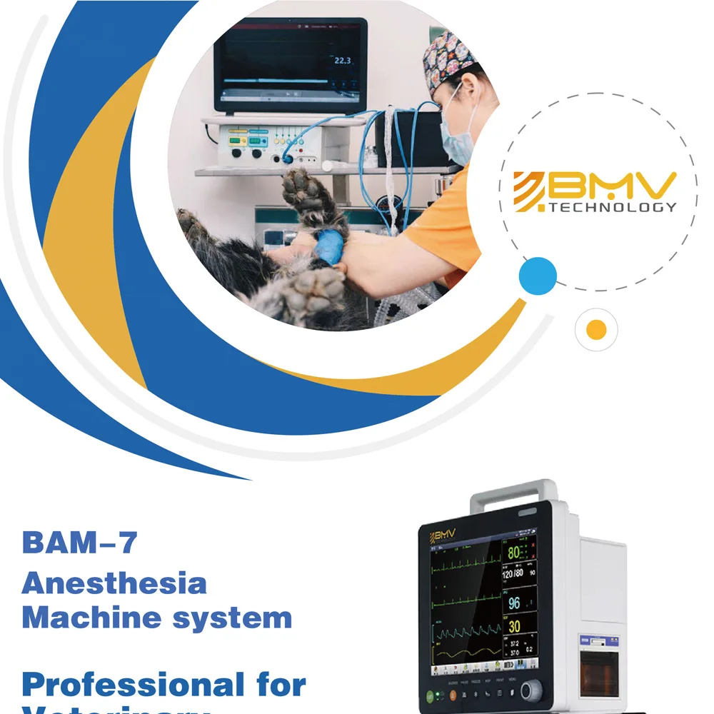 BAM-7----03_01.jpg