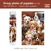 33-138 Group Photo of Puppies