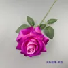 Grande Rose à Cornes - Violet