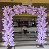 Rose5