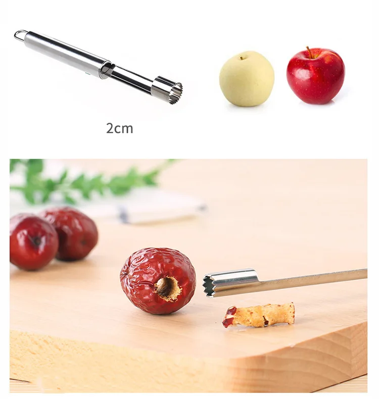 Leikance Détachant de noyau de fruits en acier inoxydable pour pomme 