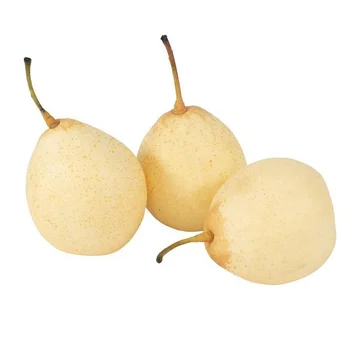 Wholesales price sweet fresh asian pear ya pear