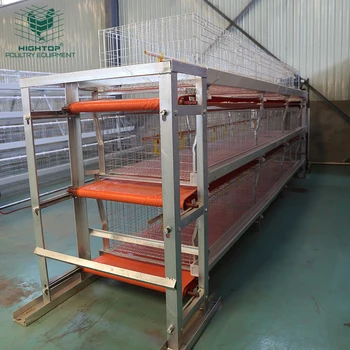 Philippines Zambia Commercial Poultry H Type Manual Meat Broiler ...