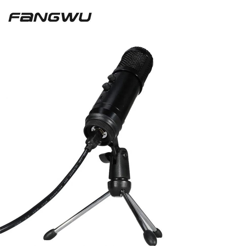 Fangwu China Mics of Studio Vocal Wired Mic