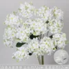 White 2-headed angel hydrangea