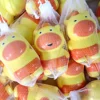 Three random capybara plush styles