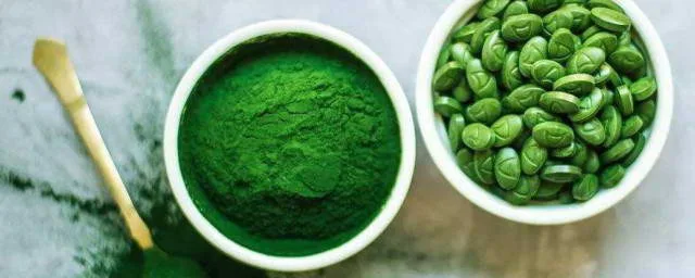 Shop Protein-rich Chlorella Powder Chlorella Extract Powder-Detailed Image 1