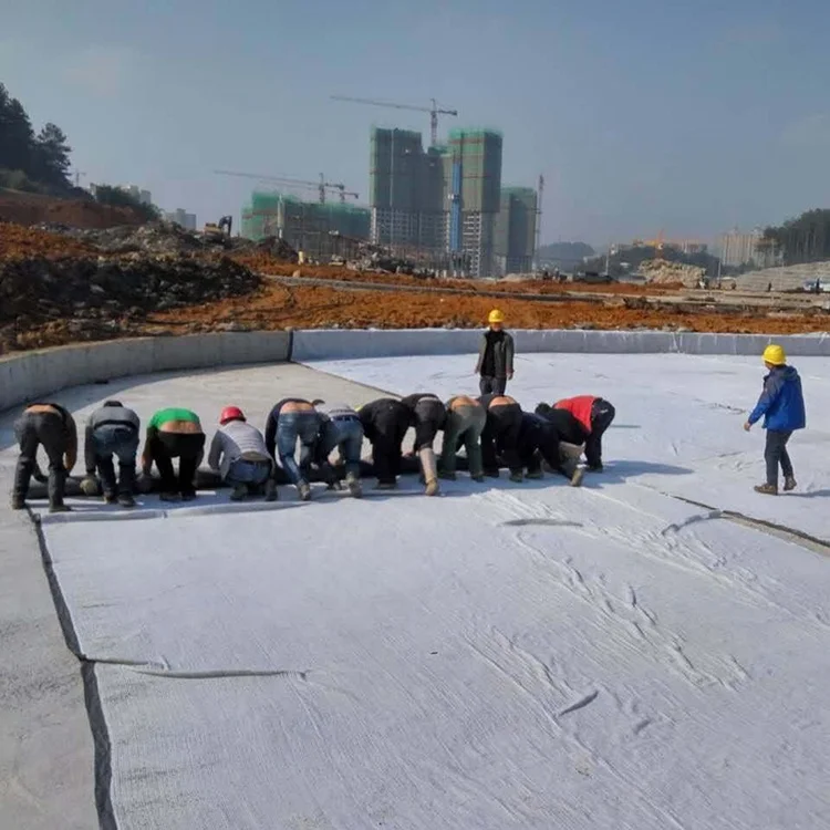Geotextile Geotech Fabric for Canals Project in Cambodia