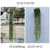 Hanging eucalyptus green