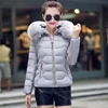 Gray + Gray Fur
