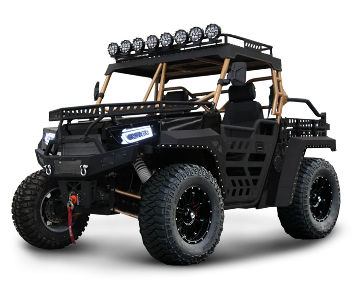 Side by Side 1000cc Utility Vehicle 4x4 Utv