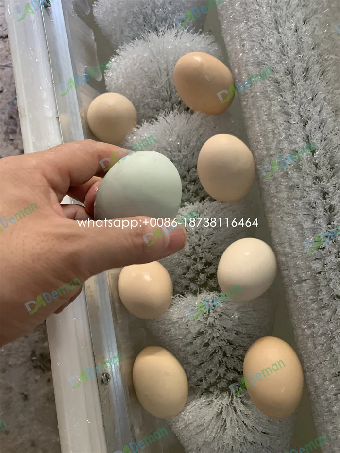 H Fresh Egg Washer Machine Dirty Quail Eggs Cleaning Maker From Topnotch66,  $984.93