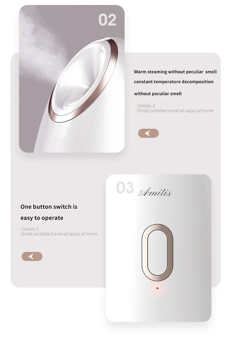 Facial Steamer