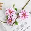 Magnolia a tre teste viola xz