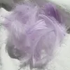 colorful Light purple