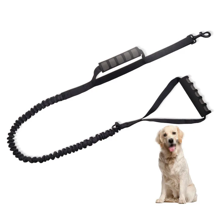 2 handle dog leash