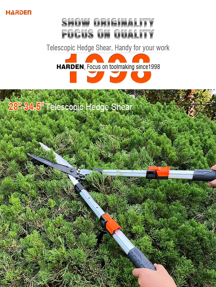 630534_01.jpg