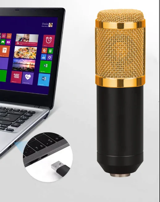 Professional Studio Condenser Microphone for Live Broadcast