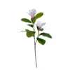Magnolia light pink-80cm