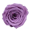 Taro purple