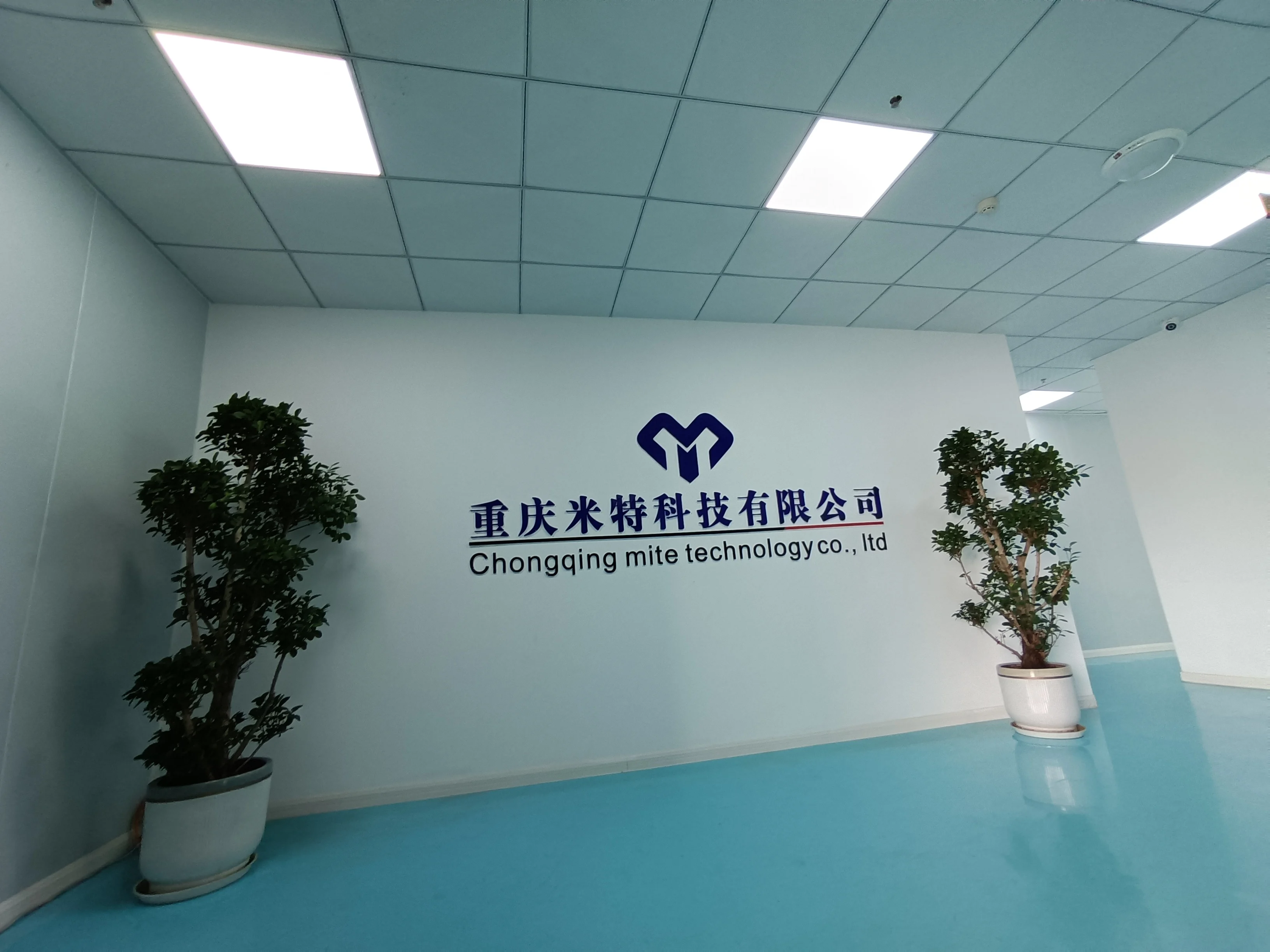 Chongqing Mega Optic Ltd.