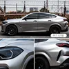 Pet-gt silver