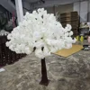 Fiore di ciliegio S17