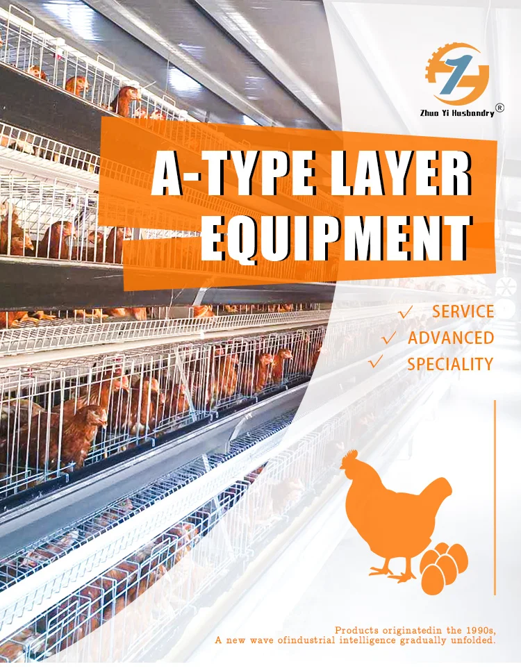 A-type Layer Equipment With Automatic Feeding System For Farm Chicken ...