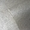 picture shows