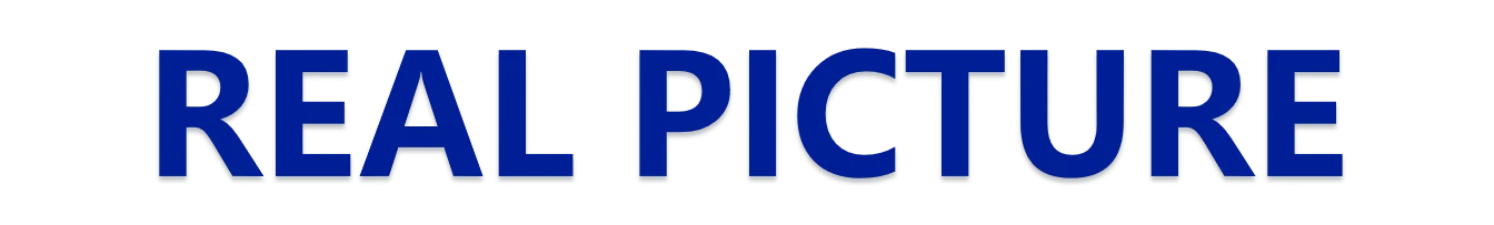 Pilates Ladder Barrel Detail