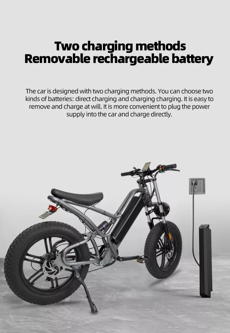 Disiyuan Bike Factory 20inch 500w 750w 1000w E Bikes Electric Bicycle