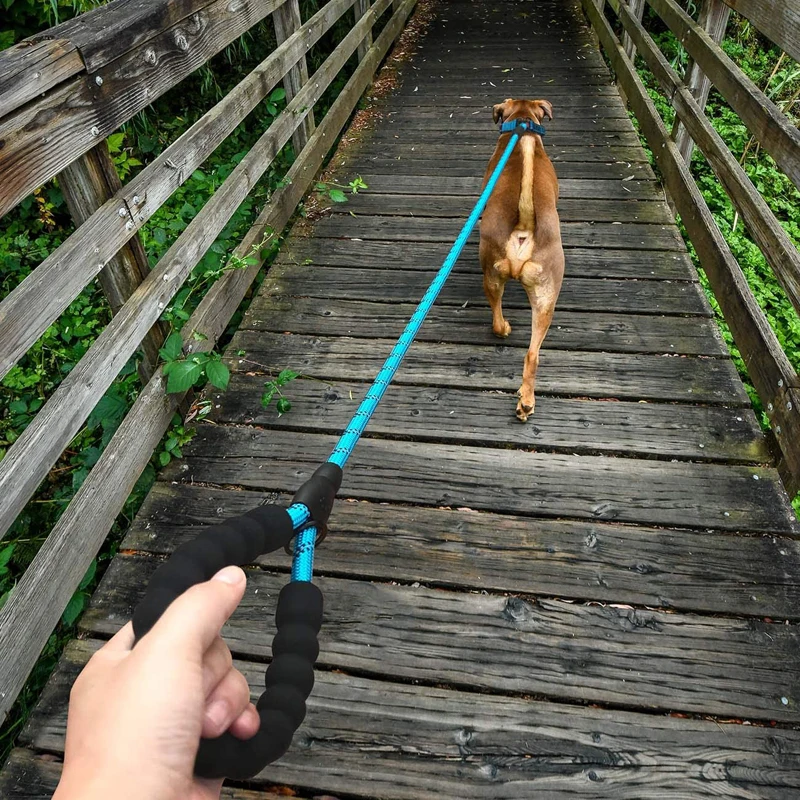 Hot Sale 5ft Heavy Duty Leash Pet Reflective Training Tracking Nylon Rope Dog Lead Dog Leash