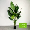 210 cm - 13 foglie